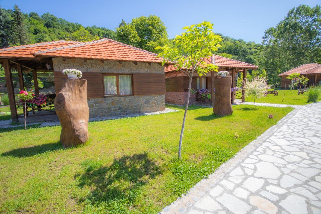 Etno Selo Svodje Apartment Vlasotince ภายนอก รูปภาพ