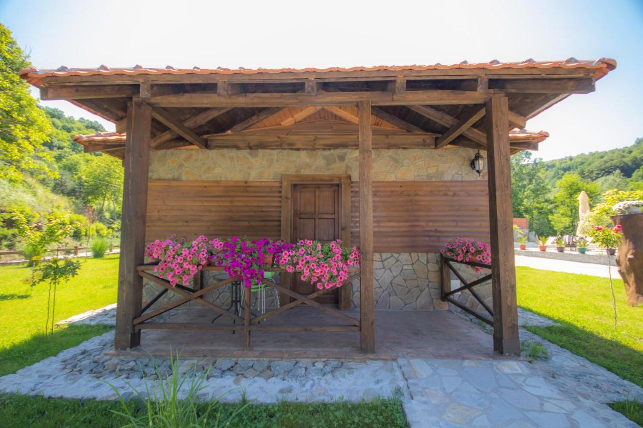 Etno Selo Svodje Apartment Vlasotince ภายนอก รูปภาพ